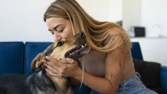 L'amore non basta: costruire un rapporto equilibrato tra uomo e cane.