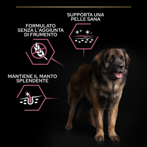Purina ProPlan - Large Robust - Adult - sensitive skin - salmone - 14 kg