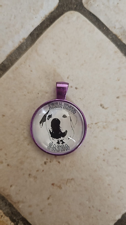 Medaglietta identificativa -cachobon