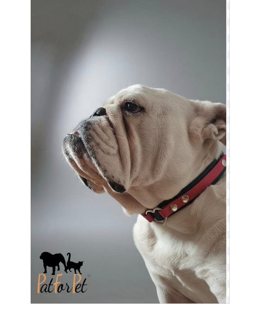 Collare Heart - artigianale - personalizzabile