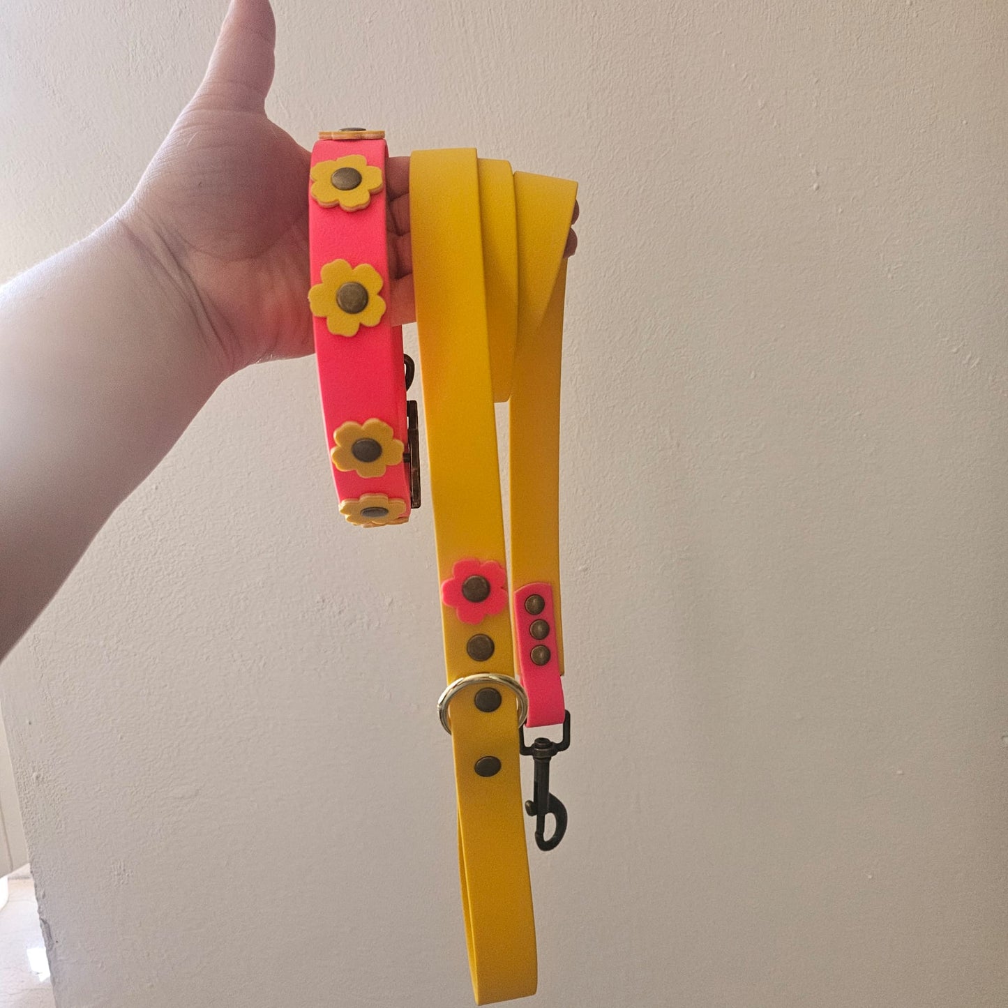 Daisy Combo Walk – Il Set impermeabile guinzaglio e collare con fiori colorati