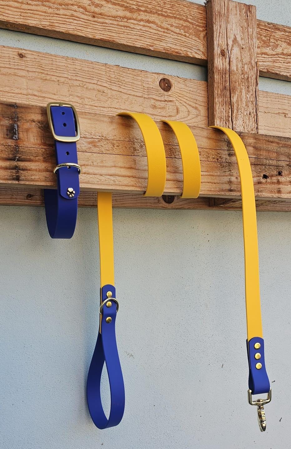 Guinzaglio bicolore artigianale - personalizzabile - biothane