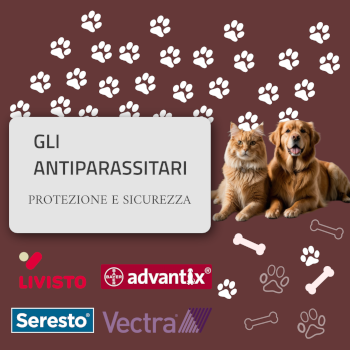 L'importanza degli Antiparassitari per Cani e Gatti: Collari e Pipette