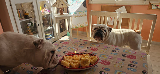 “Torta di compleanno per cani con patate e carote (ricetta semplice e naturale)”