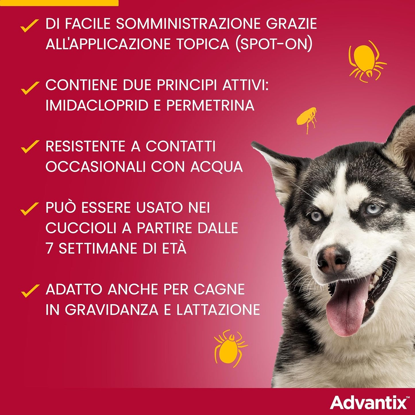 Advantix Spot-on antiparassitario per Cani da 25 kg a 40 Kg, 6 pipette da 4 ml.