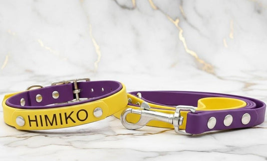 Personalizzazione collare e guinzaglio in biothane