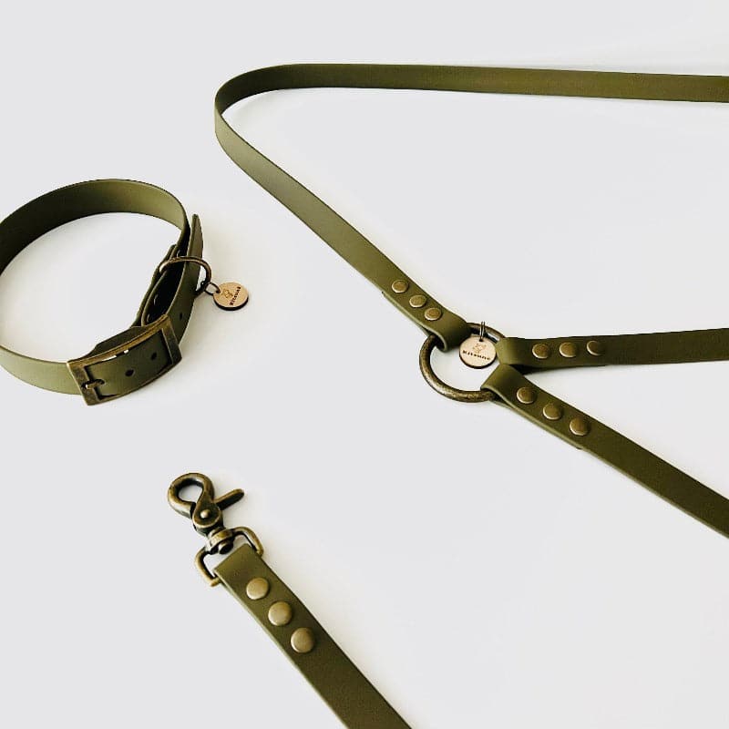 Hands-free leash in biothane - Model OLIVE - Size 1.80m