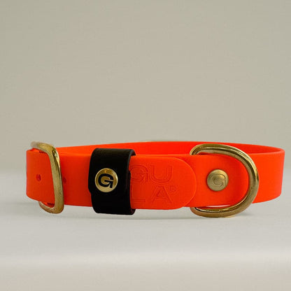 GULA - BRIGHT ORANGE COLLAR - 25mm - S, M, L