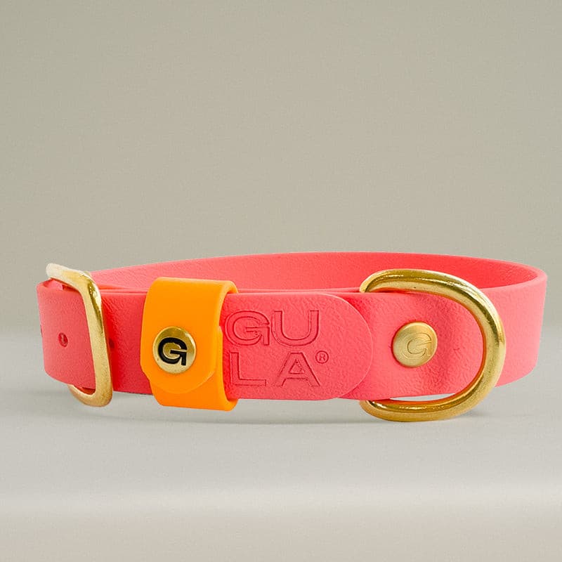 GULA - PINK COLLAR - 25mm - S, M, L, XL