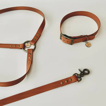 Hands-free biothane leash - MONTMARTRE model - Size 1.80m