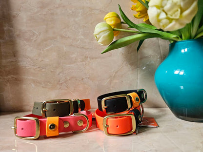 GULA - BRIGHT ORANGE COLLAR - 25mm - S, M, L