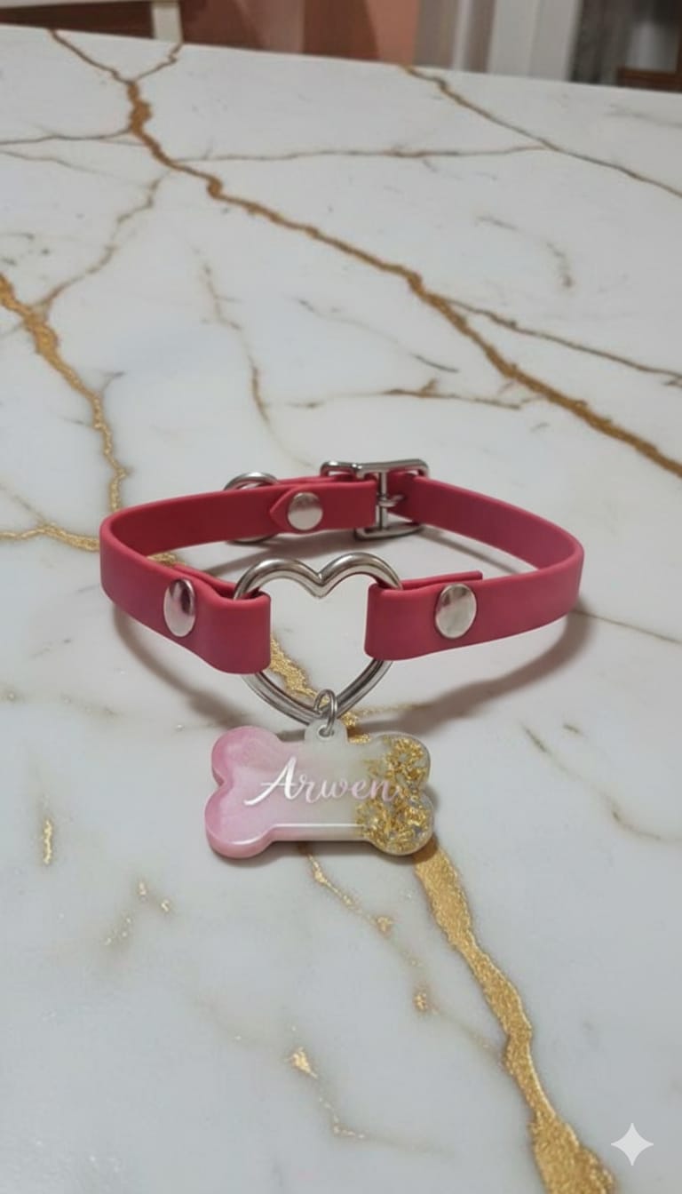 Portamedaglietta per cani o gatti - artigianale