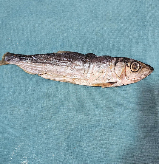 Dried herring 1 pc