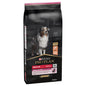 ProPlan adult medium sensitive skin - salmone - 14 kg