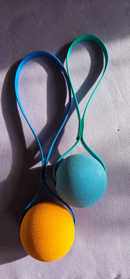 Palla con manico in Biothane – Gioco interattivo per cani - taglia media