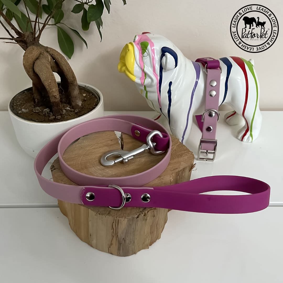 Collare Bicolore - personalizzabile - artigianale