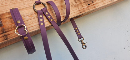 Guinzaglio mani libere - hand free - pvc coated o biothane - fisso