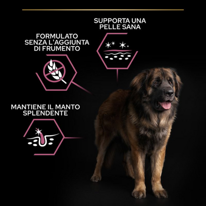 Purina ProPlan - Large Robust - Adult - sensitive skin - salmone - 14 kg