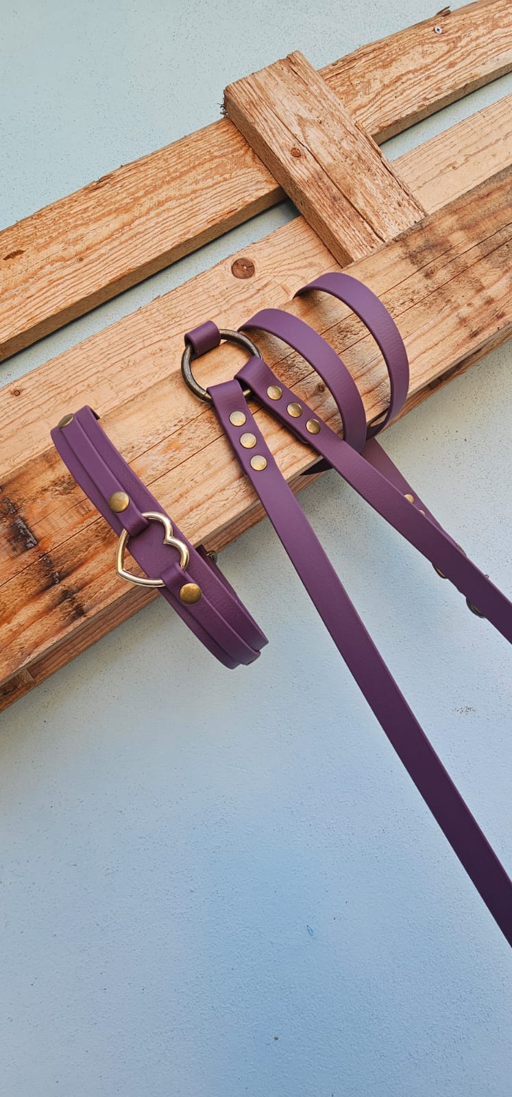 Guinzaglio mani libere - hand free - pvc coated o biothane - fisso