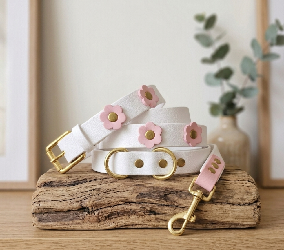 Linea Wedding: Il tuo 4 Zampe Protagonista del Giorno Più Bello