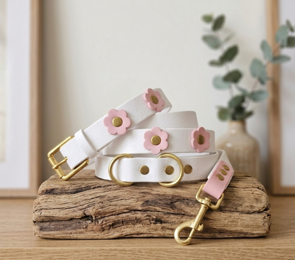 Linea Wedding: Il tuo 4 Zampe Protagonista del Giorno Più Bello
