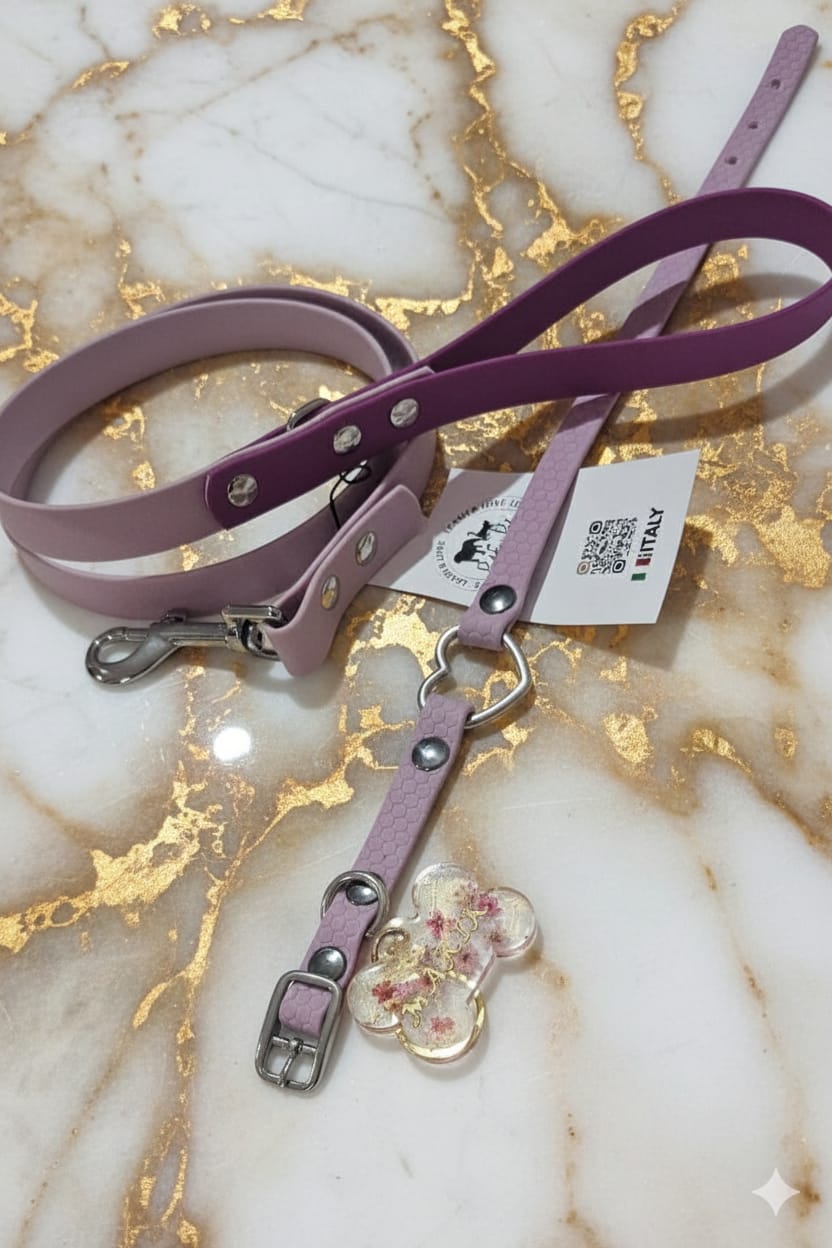 Kit cucciolo collare , guinzaglio e medaglietta