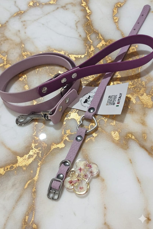 Kit cucciolo collare , guinzaglio e medaglietta