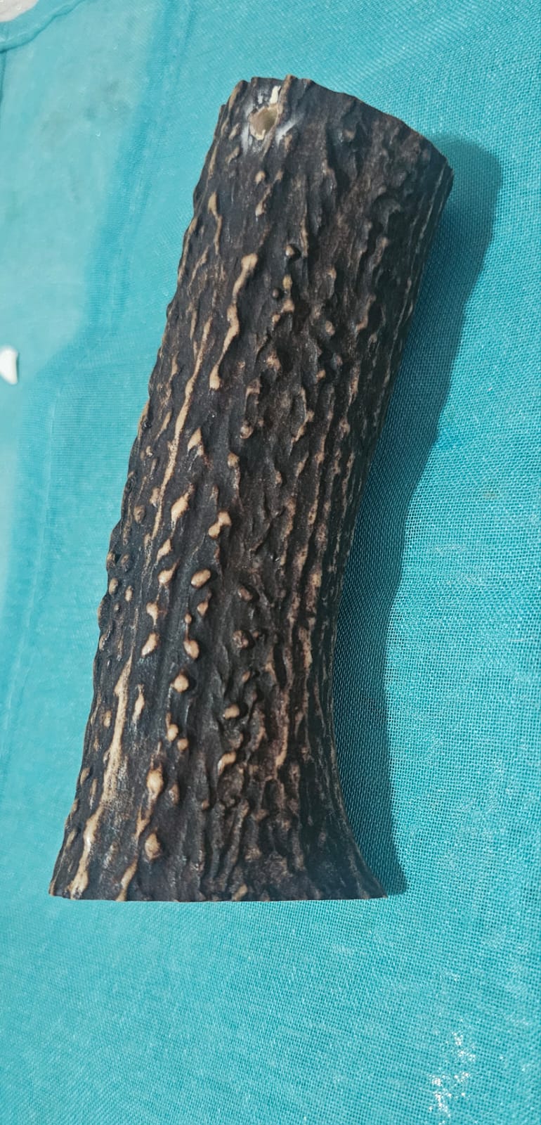 Corno dì cervo per cani taglia L