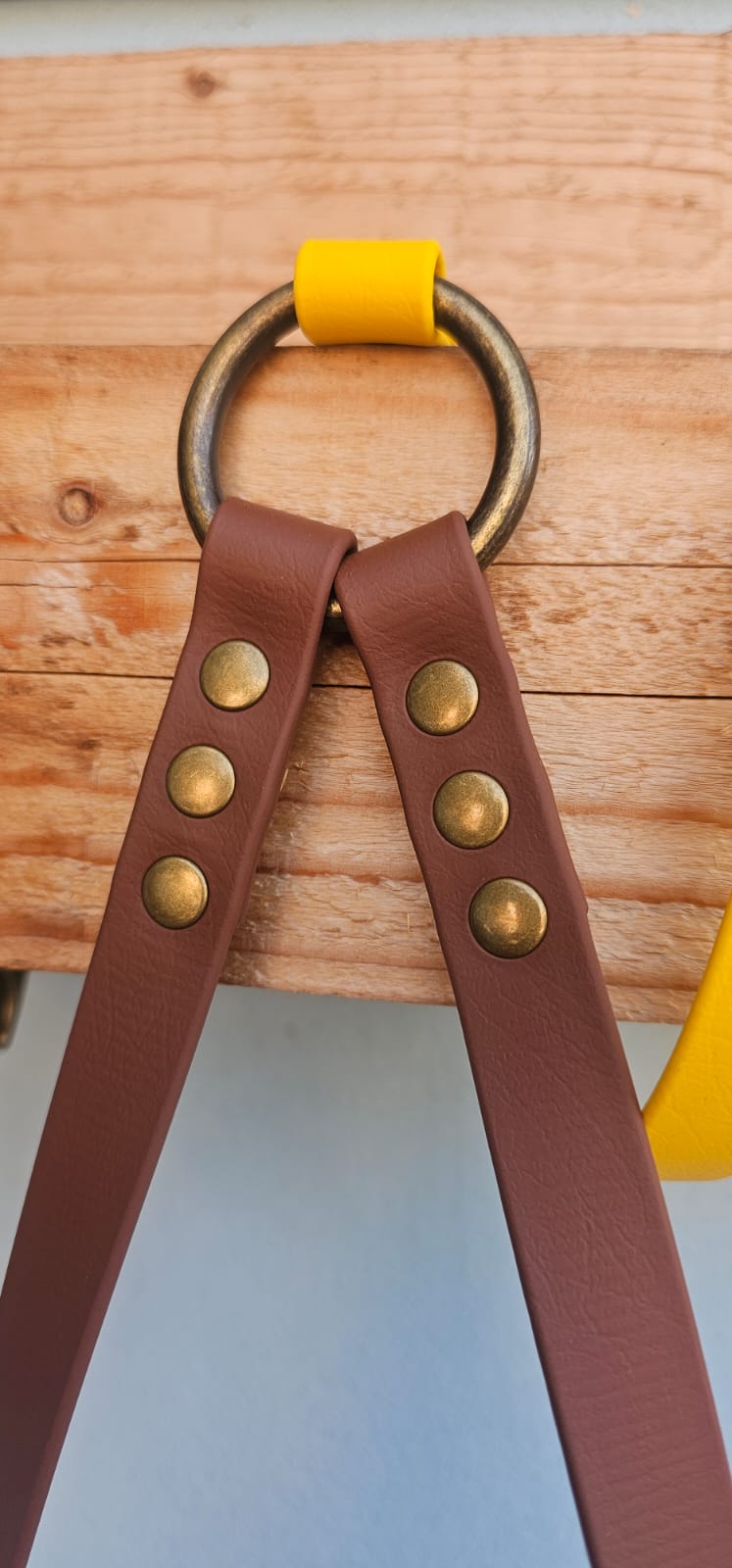 Guinzaglio mani libere - hand free - pvc coated o biothane - fisso