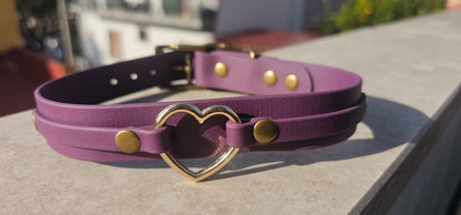 Collare Heart  - artigianale   - personalizzabile, fino a 2 colori - in biothane