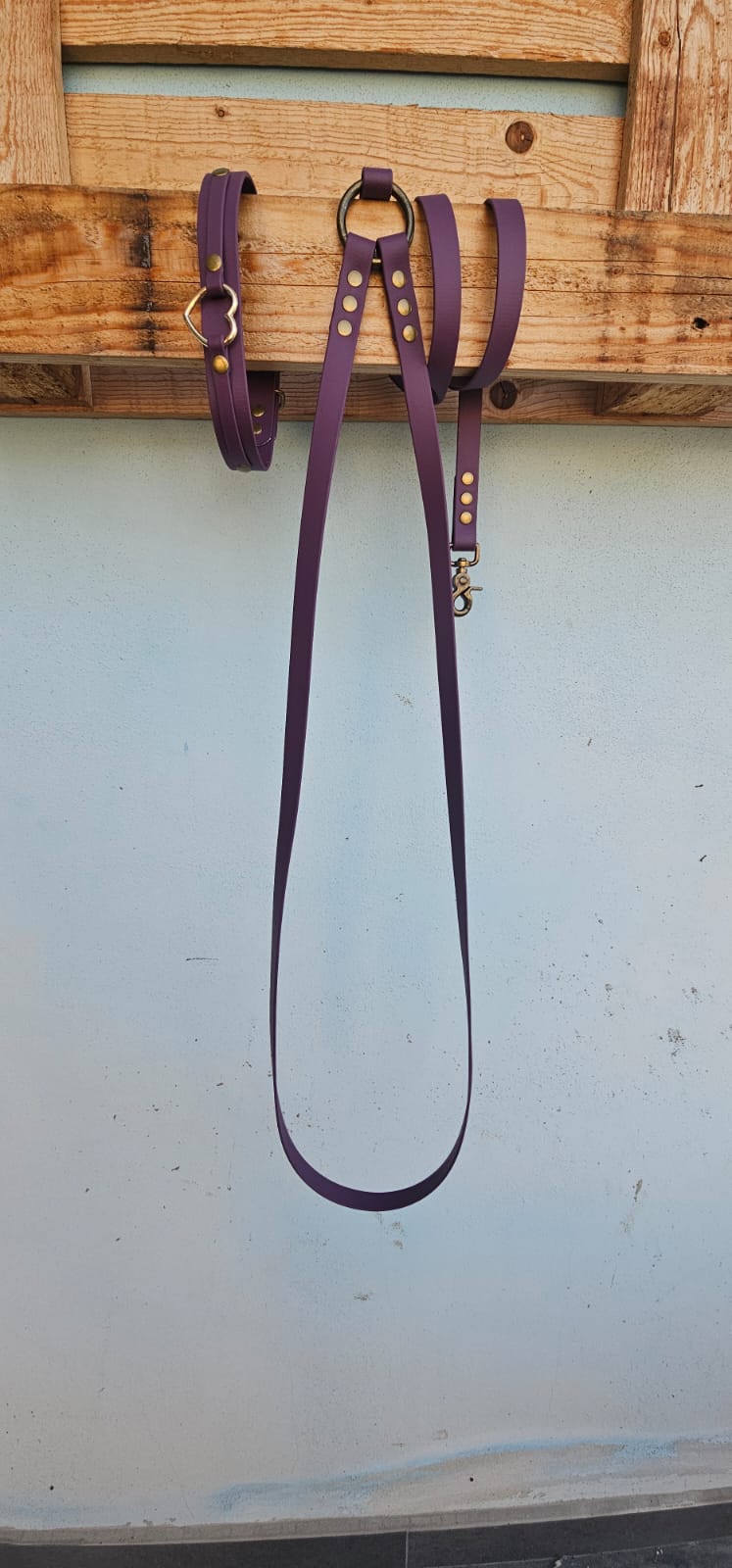 Guinzaglio mani libere - hand free - pvc coated o biothane - fisso