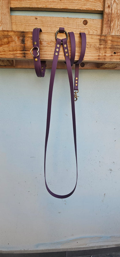 Guinzaglio mani libere - hand free - pvc coated o biothane - fisso