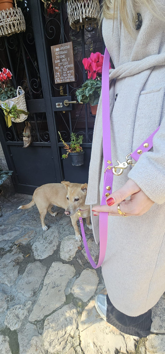 Guinzaglio mani libere - hand free - pvc coated o biothane - fisso