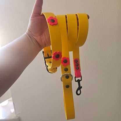 Daisy Combo Walk – Il Set impermeabile guinzaglio e collare con fiori colorati