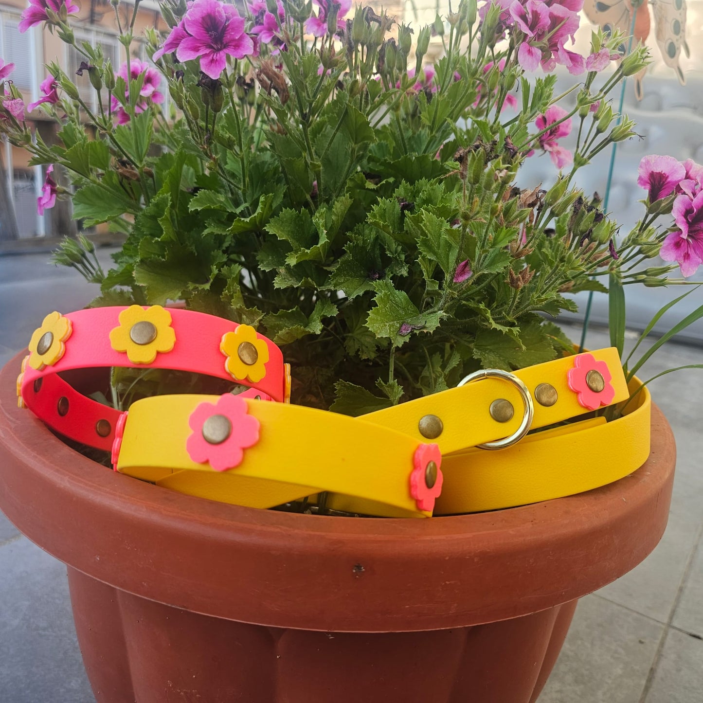 Daisy Combo Walk – Il Set impermeabile guinzaglio e collare con fiori colorati