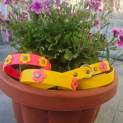 Daisy Combo Walk – Il Set impermeabile guinzaglio e collare con fiori colorati