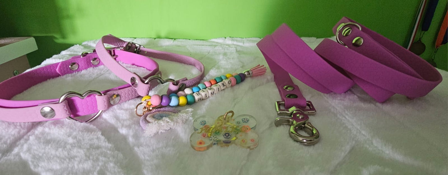 Box regalo artigianale per cani - personalizzabile - collare, guinzaglio, portamedaglietta e medaglietta in resina