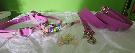 Box regalo artigianale per cani - personalizzabile - collare, guinzaglio, portamedaglietta e medaglietta in resina