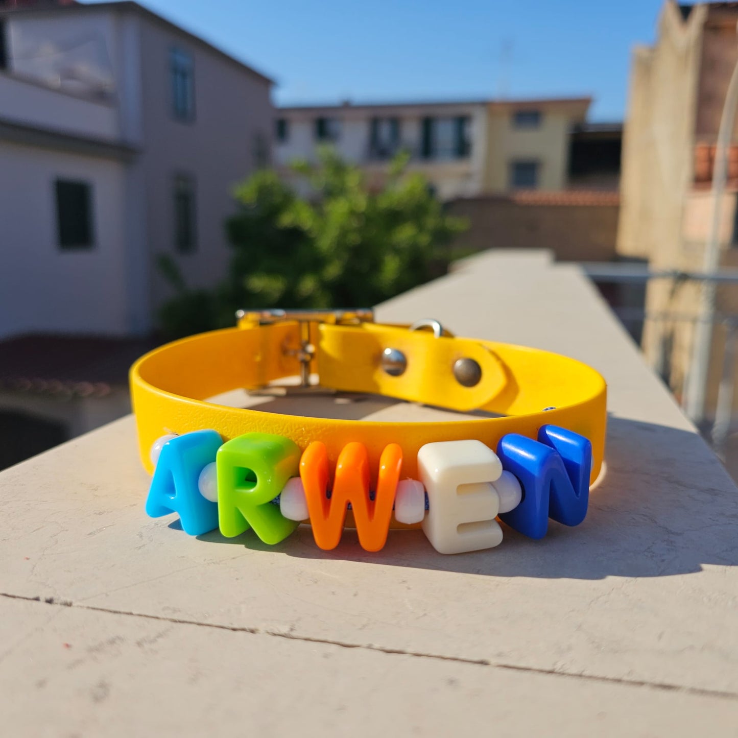 Popcromia - collare customizzabile con lettere colorate